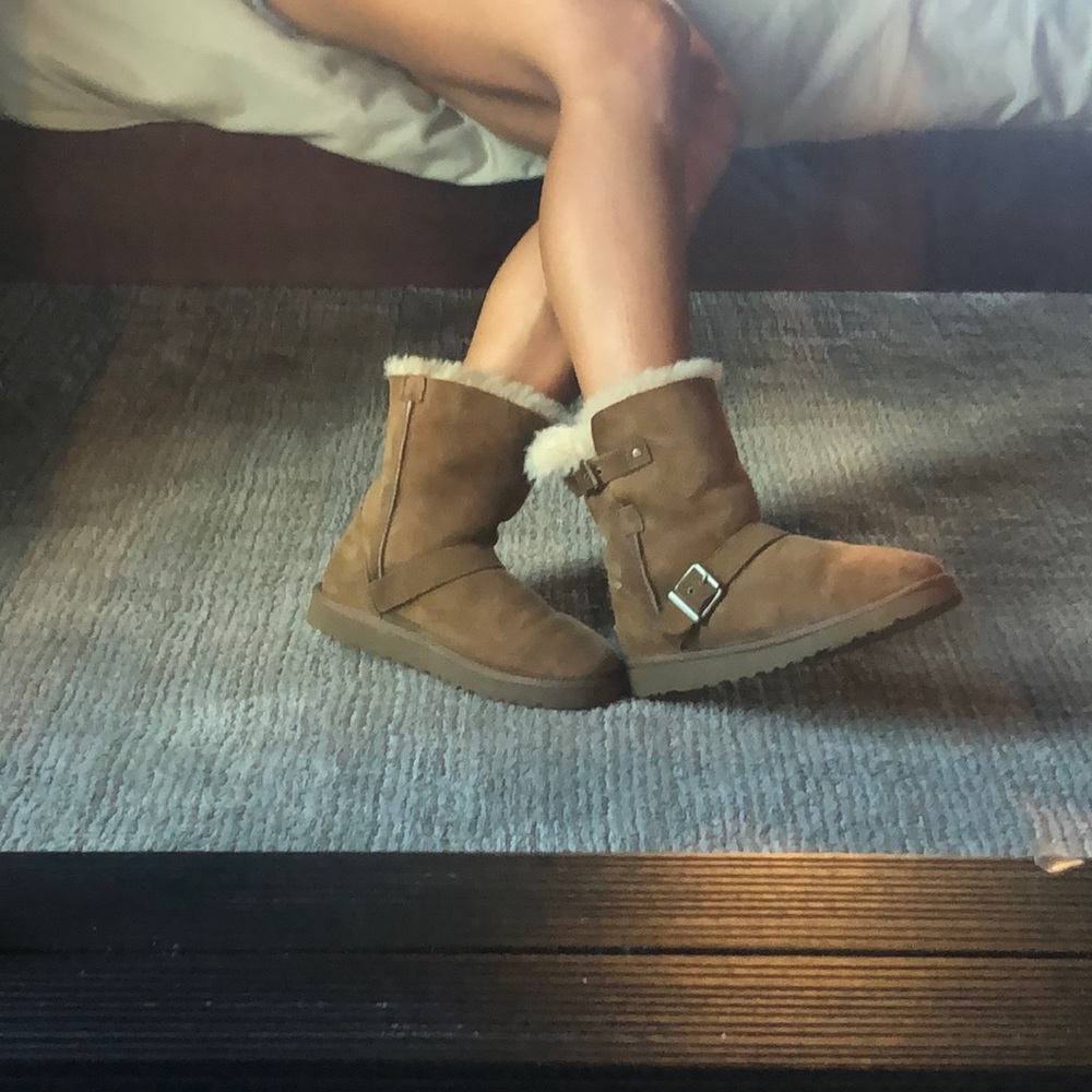 Chestnut Uggs